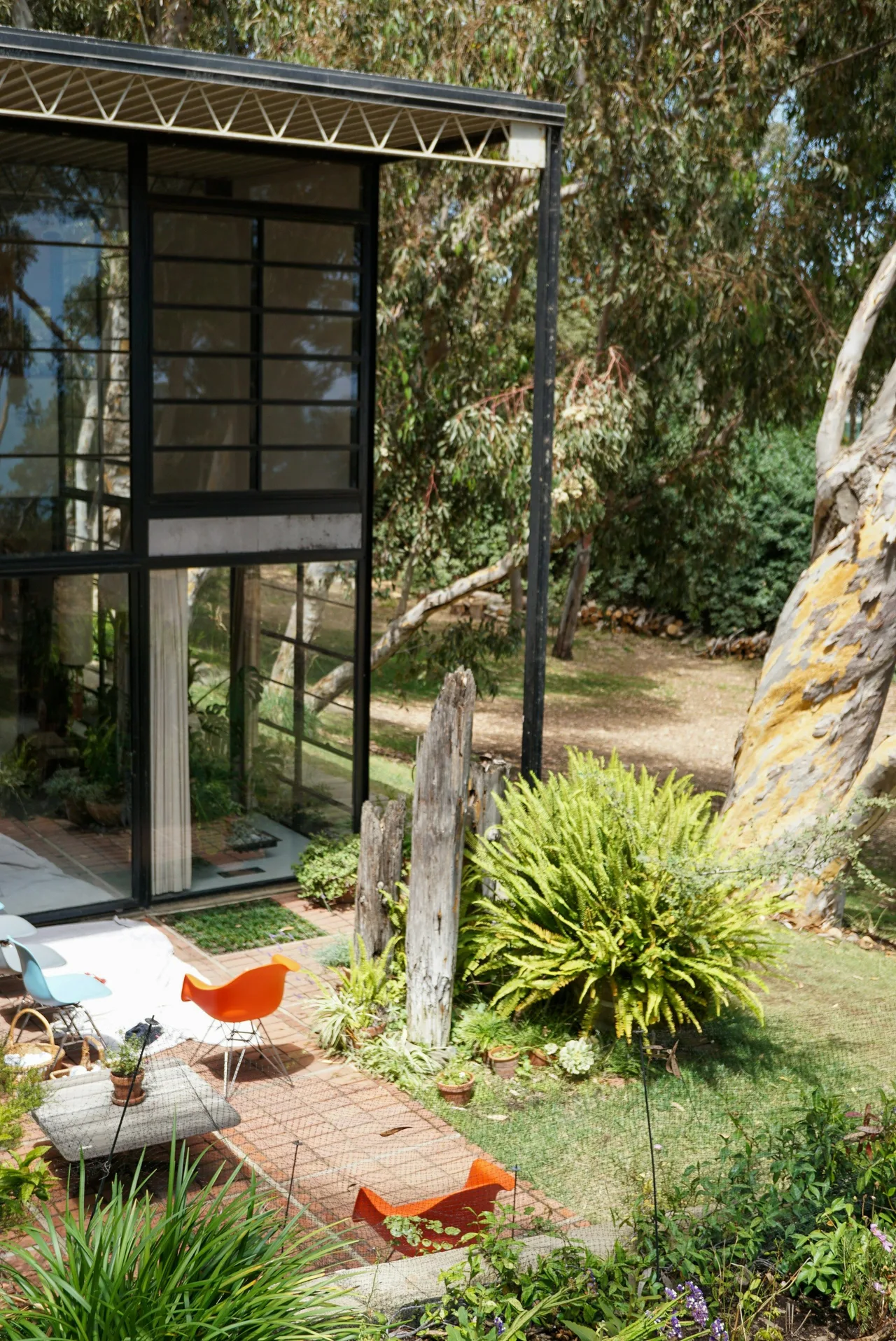Stock illustration of a glazed residential space opening onto a planted garden.